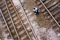 Фотография Леснова Никиты