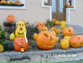 Міша Томишинець фотография #12 (источник - https://vk.com/id98581154)