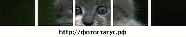 Надя Бедрієнко фотография #35 (источник - https://vk.com/id54043737)