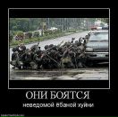 Фотография Комарова Александра