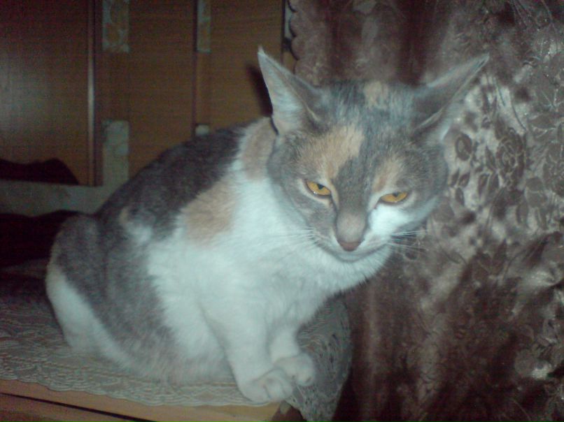 Дмитрий Калинин фотография #28