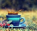 Guraba ♥ фотография #42 (источник - https://vk.com/id152640699)