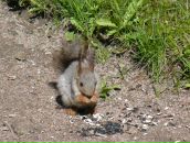 Фотография Рябковой Светланы