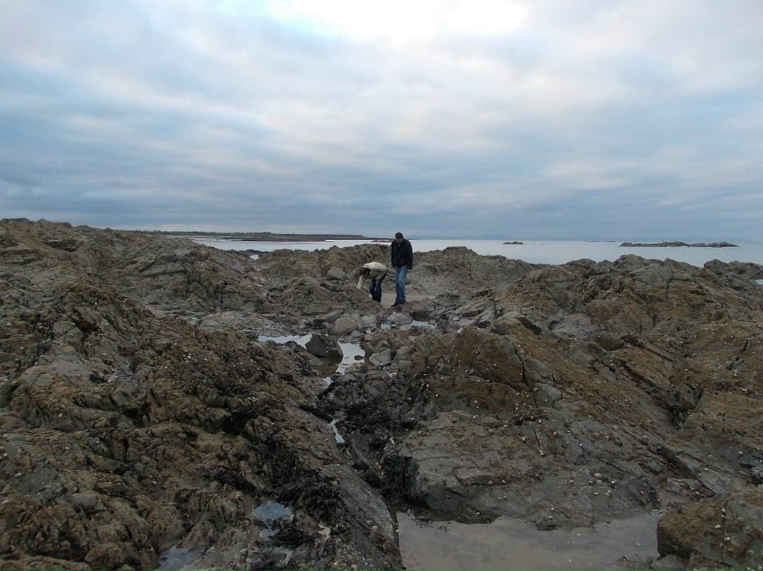 Эйнар Вилоп фотография #5