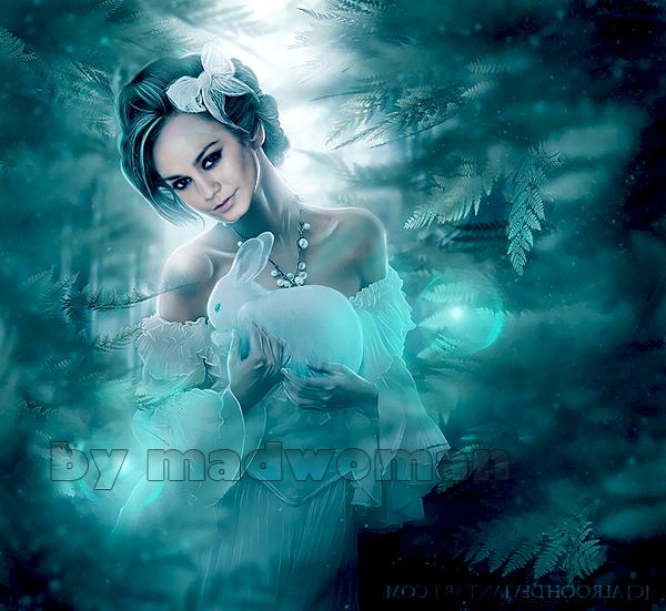 №16, Bella Swan №16, Bella Swan