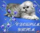 Голіната Світлана фотография #40 (источник - https://vk.com/id70881949)