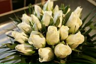 Фотография Тихоновой Марии