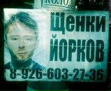 Наталія Грабовецька фотография #27 (источник - https://vk.com/id134300225)