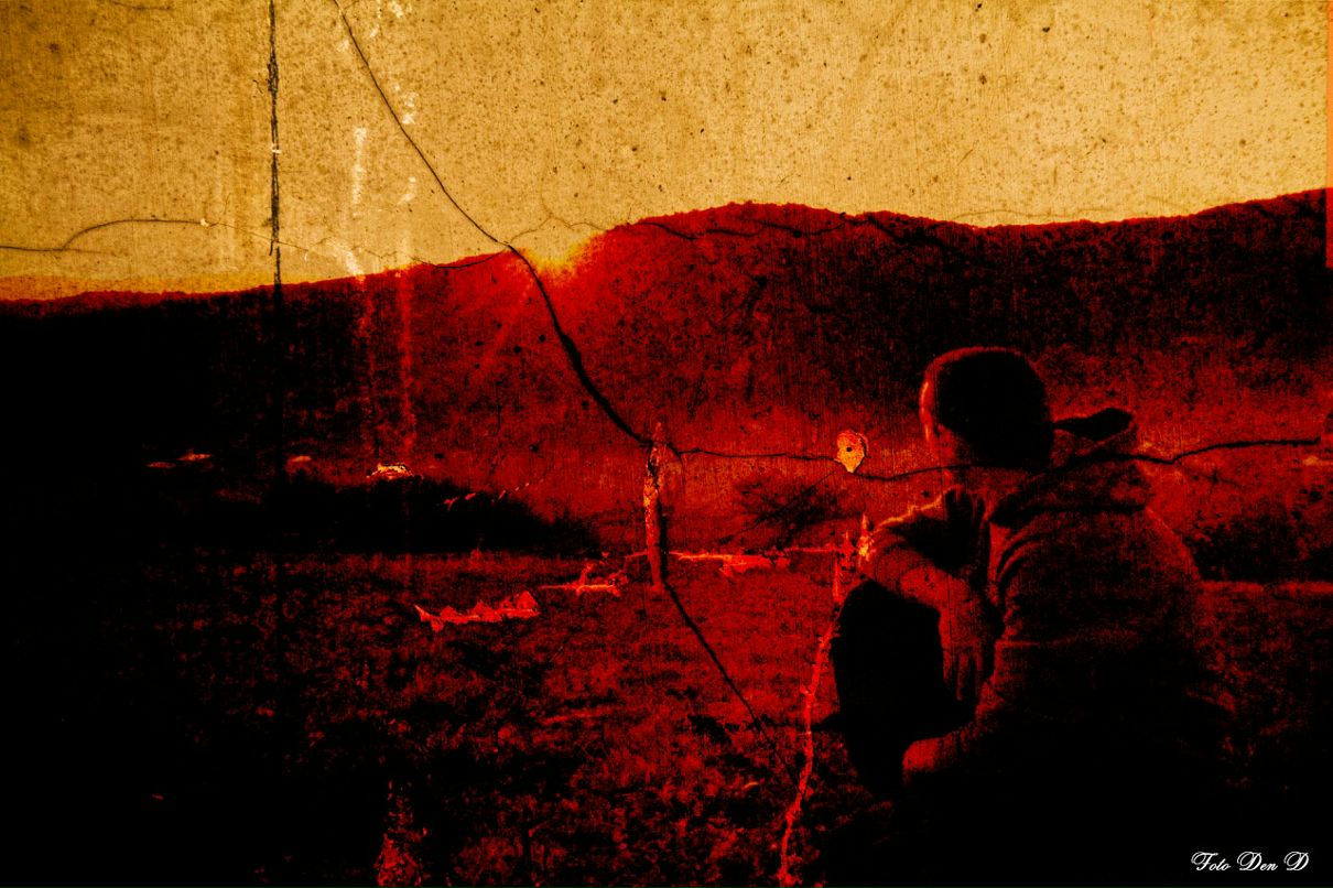 Den D фотография #50