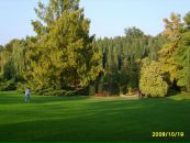 Віра Дорож фотография #6 (источник - https://vk.com/id44850773)