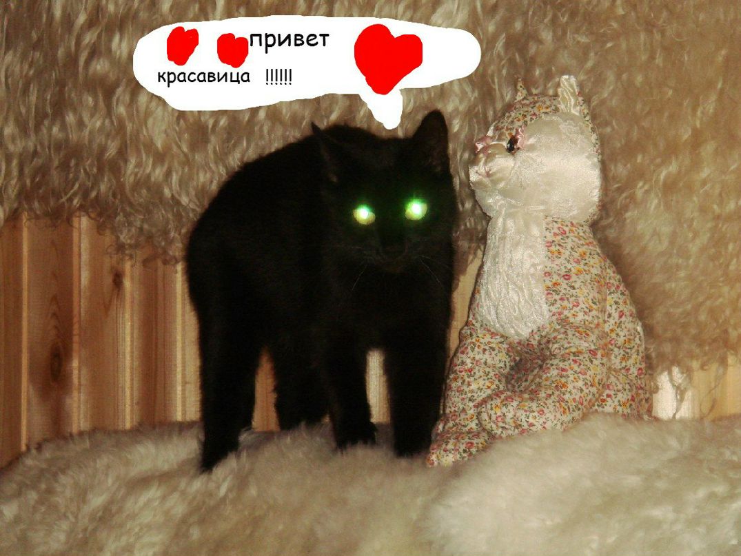 Азиз Валеев фотография #21