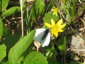 Денис Суглов фотография #3 (источник - https://vk.com/id6845027)