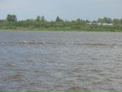 Дмитрий Кошелев фотография #12 (источник - https://vk.com/id2575330)