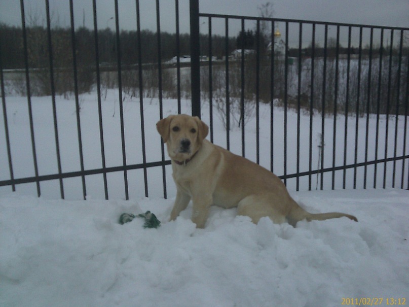 Сергей Поляков фотография #10