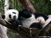 Фотография Бодосовой Ирины