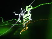 Аркадій Стек фотография #39 (источник - https://vk.com/id14899716)