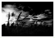 Сева Бугунлей фотография #2 (источник - https://vk.com/id775499)