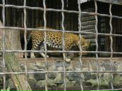 Віталік Стець фотография #19 (источник - https://vk.com/id65006426)