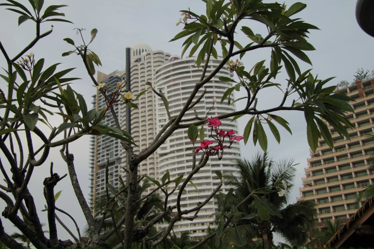 Дмитрий Симонов фотография #11