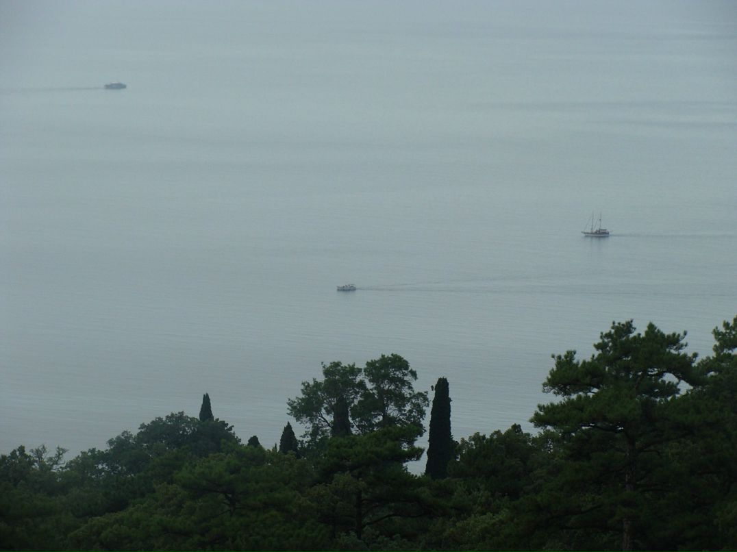 Александр Зиненко фотография #25