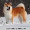 Міша Баранчук фотография #37 (источник - https://vk.com/id158566301)