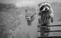 Віталій Коломієць фотография #31 (источник - https://vk.com/id72346397)