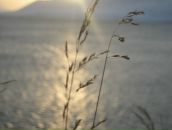 Фотография Яфаровой Юлии