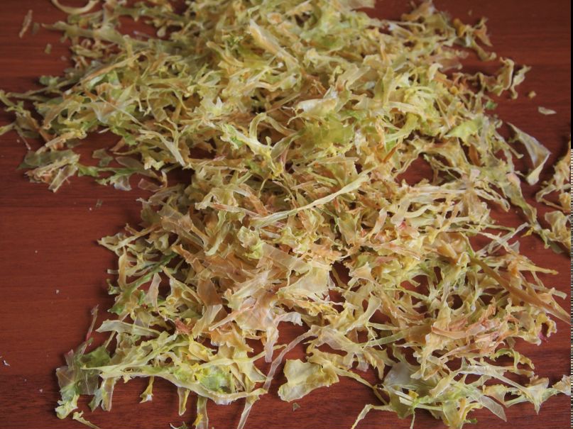 Игорь Кулешов фотография #46