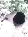 Максім Василець фотография #18 (источник - https://vk.com/id132318424)