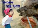 Вовік Кирилович фотография #34 (источник - https://vk.com/id152590878)