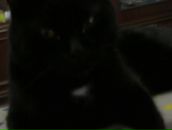 Фотография Жуковой Ирины