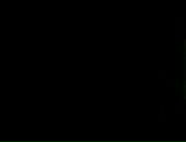 Сергей Яковлев фотография #44 (источник - https://vk.com/id11738781)