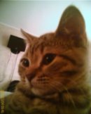 Елена Остапкевич фотография #20 (источник - https://vk.com/id1925147)