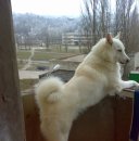 Юрій Герасименко фотография #24 (источник - https://vk.com/id29215179)