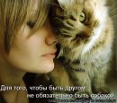 Світлана Гуменюк фотография #48 (источник - https://vk.com/id23658624)