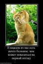 Інна Дерябіна фотография #3 (источник - https://vk.com/id7813157)