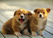 Любка Старків фотография #19 (источник - https://vk.com/id312098914)