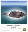 Иван Бабинец фотография #22 (источник - https://vk.com/id120069385)