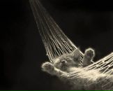 Максим Єрмоленко фотография #19 (источник - https://vk.com/id14074740)