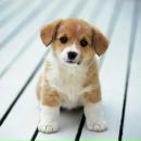 Іра Каширіна фотография #24 (источник - https://vk.com/id170832152)