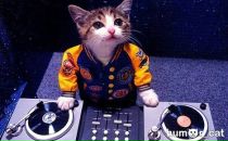 Лілія Гук фотография #18 (источник - https://vk.com/id131766283)