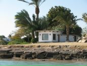 Ірина Лісович фотография #47 (источник - https://vk.com/id19871993)