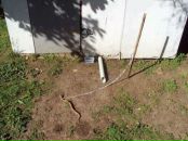 Сергій Мельник фотография #3 (источник - https://vk.com/id24399783)