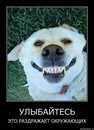 Ліля Следзь фотография #25 (источник - https://vk.com/id145987523)