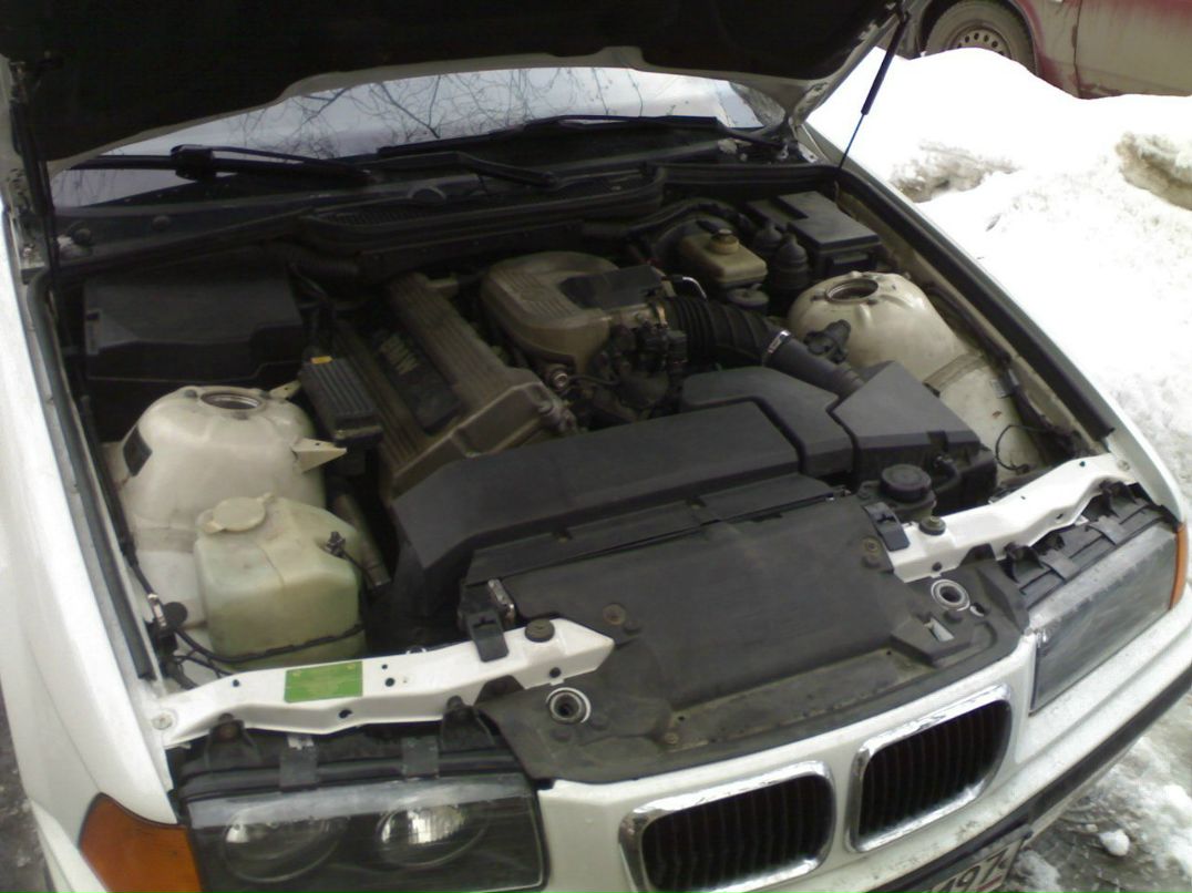 Роман Синицын фотография #47