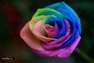 Ліля Фульмес фотография #27 (источник - https://vk.com/id148120012)