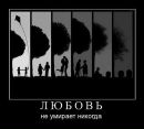 Марія Хаслам фотография #49 (источник - https://vk.com/id105160749)