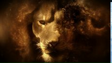 Фотография Андрюхи Андрюхи