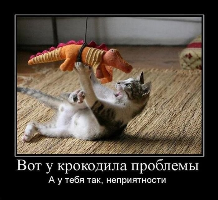 Игорь Будник фотография #8