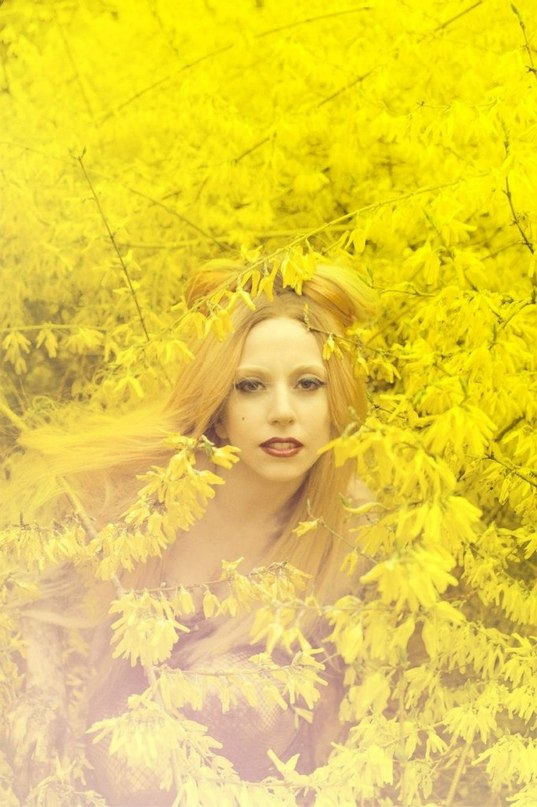 Vera Frank фотография #9